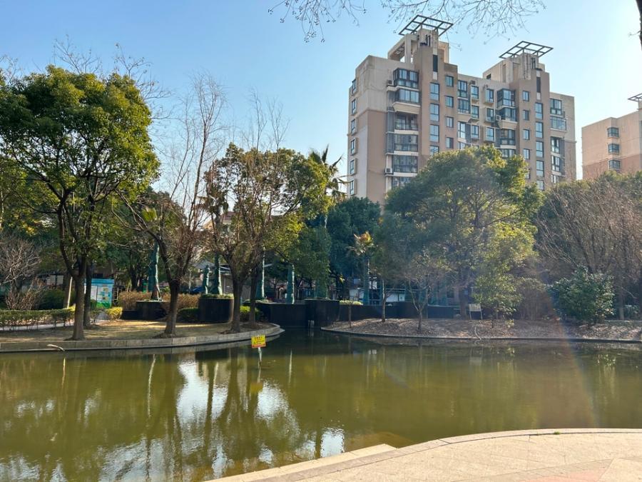 上海市闵行区林水美地苑31栋3F 