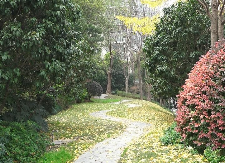 上海市黄浦区金外滩花园11栋6F 