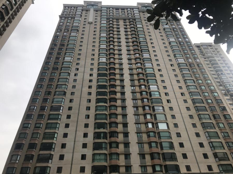 上海市徐汇区东方巴黎霞飞苑555栋29F 