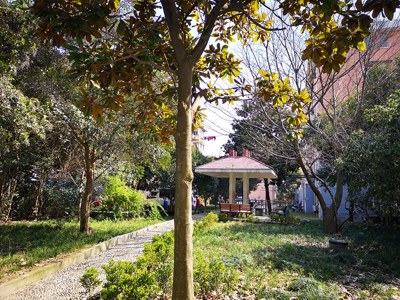 上海市闵行区虹梅新苑41栋4F 