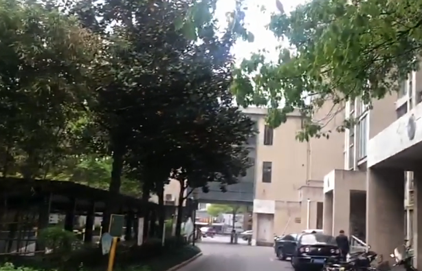 上海市嘉定区绿洲古猗新苑3栋10F 