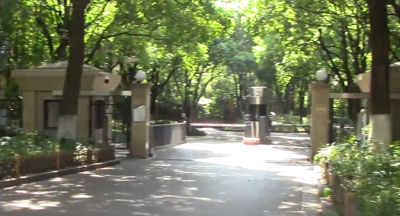 上海市普陀区中鹰黑森林6栋1F 