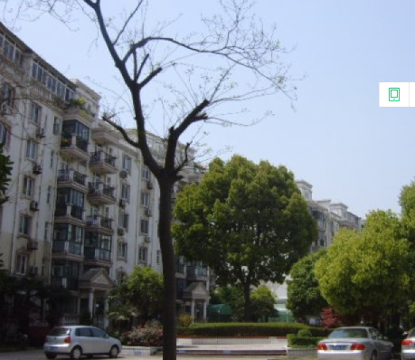 上海市浦东新区上南五村6栋2F 