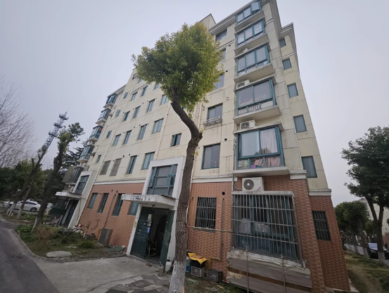 上海市松江区江秋新苑906栋3F 