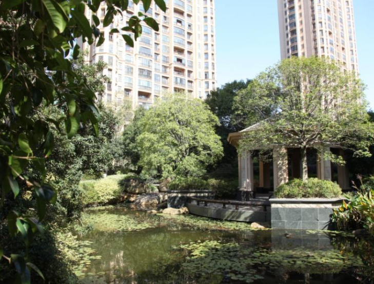 上海市闵行区上海星河湾11栋10F 