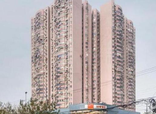 上海市普陀区申汉大厦839栋19F 