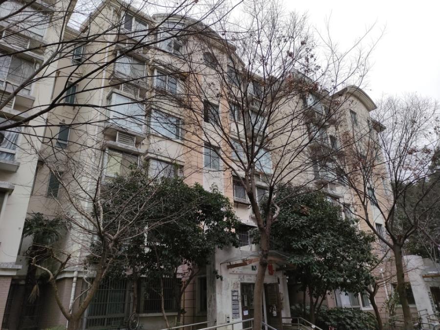 上海市浦东新区杉林新月39栋3F 