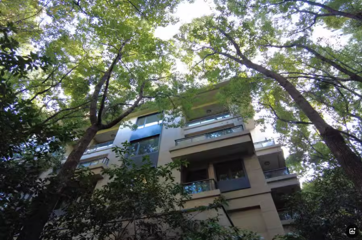 上海市普陀区中鹰黑森林6栋3F 