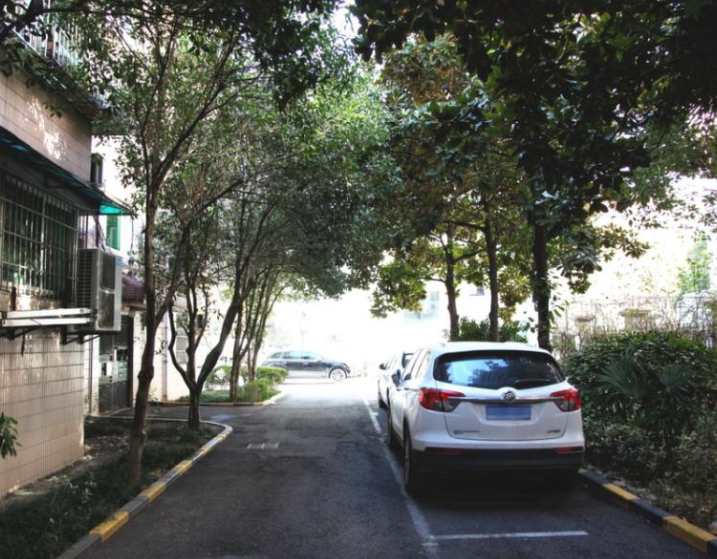 上海市徐汇区梦蝶苑10栋6F 