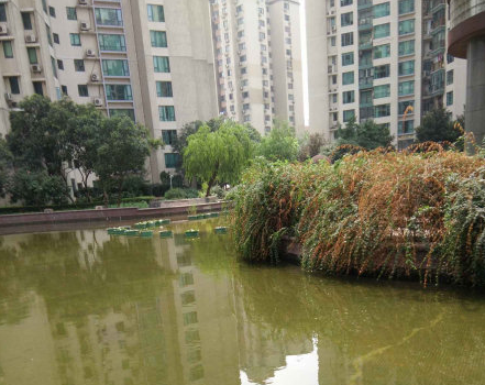 上海市徐汇区东方曼哈顿世纪豪庭168栋9F 