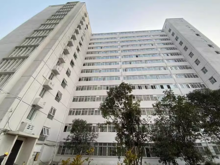 上海市徐汇区漕溪大楼1000栋13F 