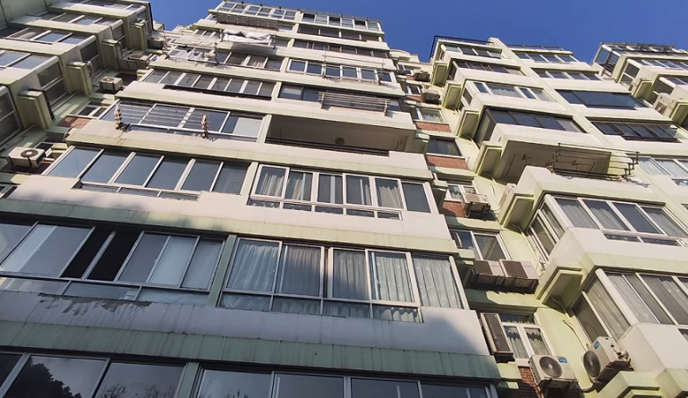 上海市闵行区莲浦花苑37号301室 