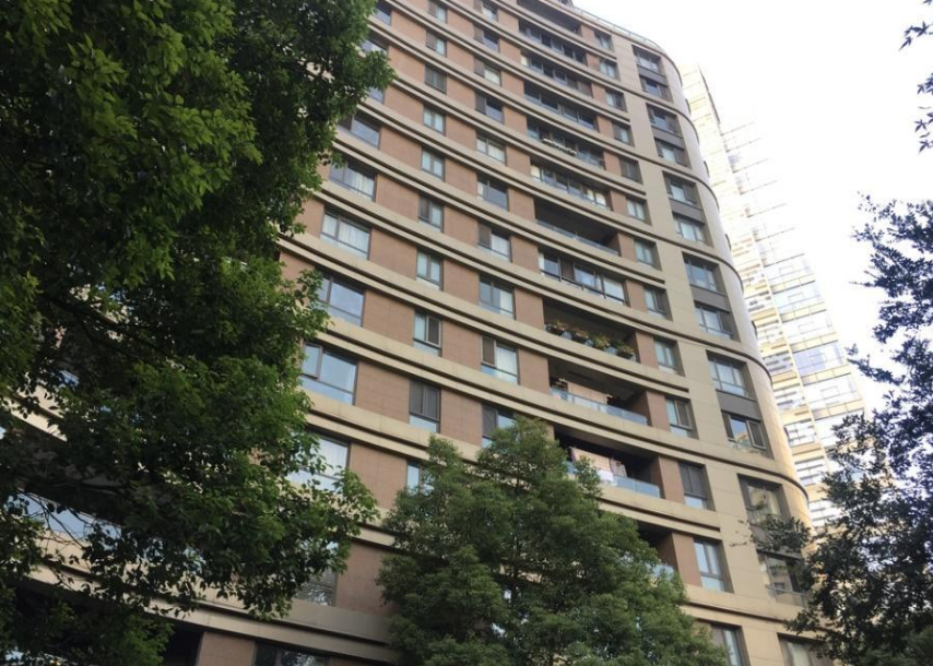 上海市徐汇区徐汇中凯城市之光名邸7栋11F及地下车位 