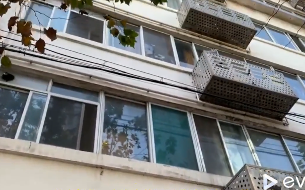 上海市徐汇区900号小区900栋3F 