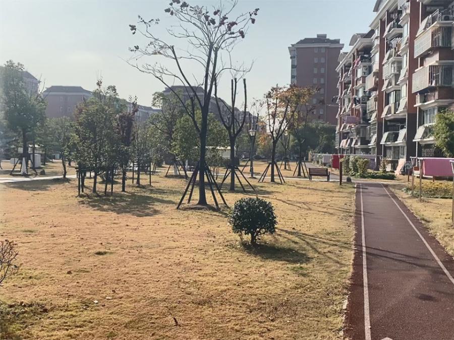 上海市宝山区新顾村大家园D区39栋3F 