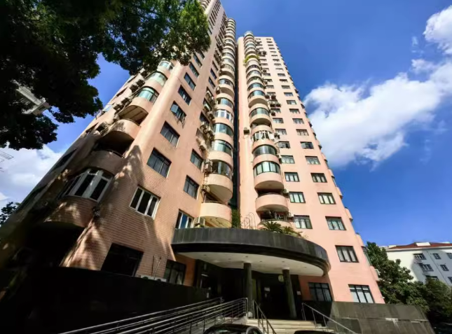 上海市徐汇区兴南花园393栋17F及地下车库车位 