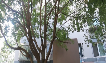 上海市浦东新区博学家园2栋5F 