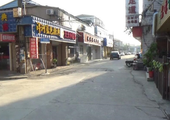 上海市金山区东林东街249号小区249栋5F 