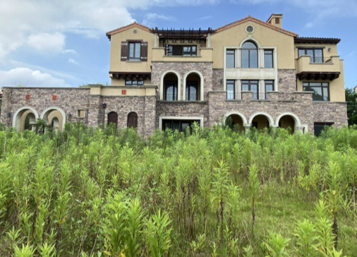 上海市崇明区金茂逸墅陈家镇2栋 