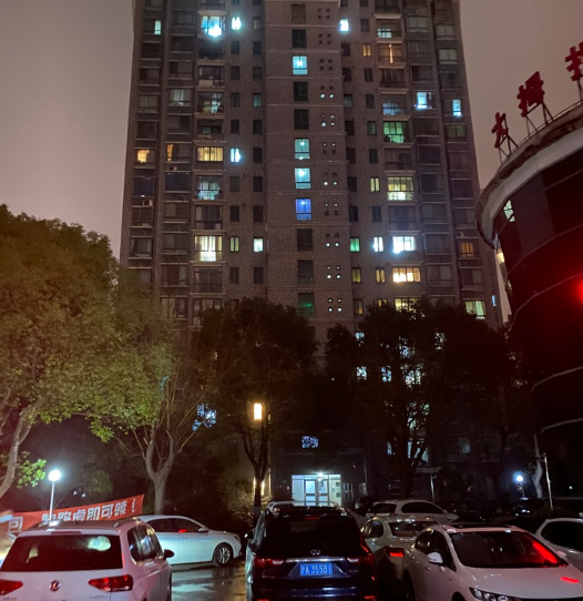 上海市闵行区三春汇秀苑10栋1F 