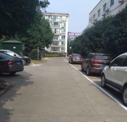 上海市奉贤区九华南苑1栋6F 