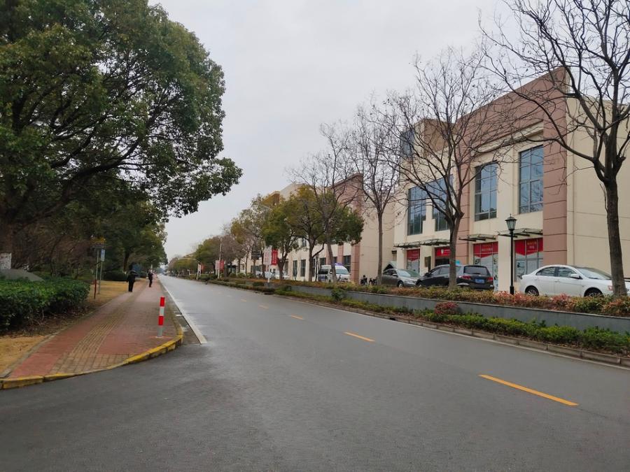 上海市奉贤区海湾艺墅172栋3F 