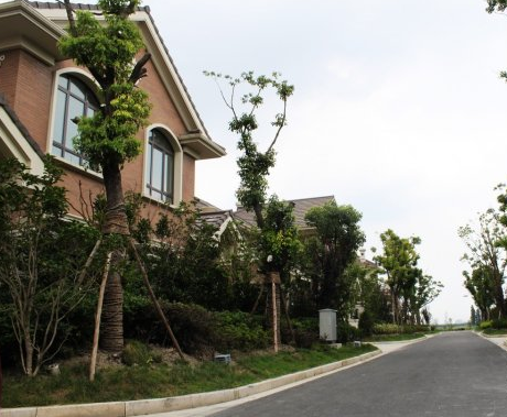 上海市松江区合生国际花园272栋 