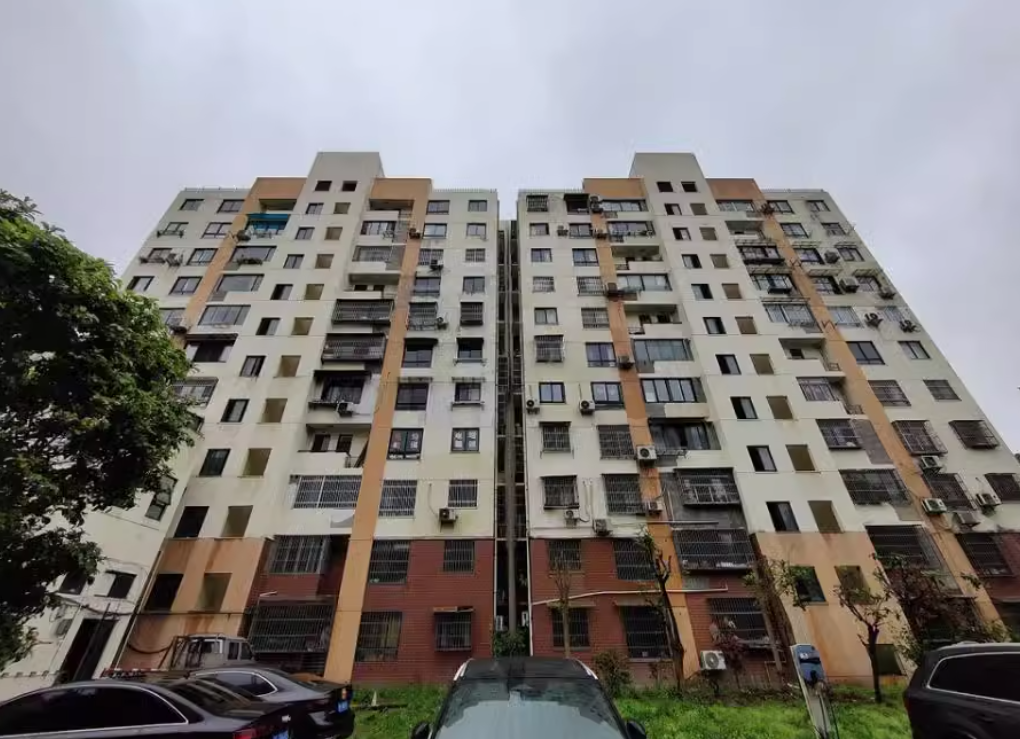 上海市松江区新凯家园100栋6F 