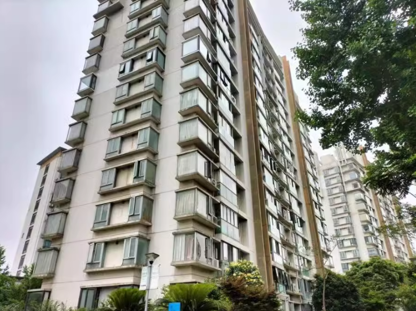 上海市松江区湖畔天地16栋5F 