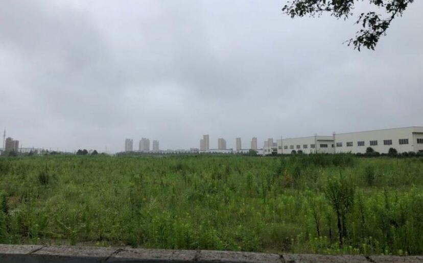 上海市宝山区罗泾镇地块罗泾镇0004街坊15/1丘土地 