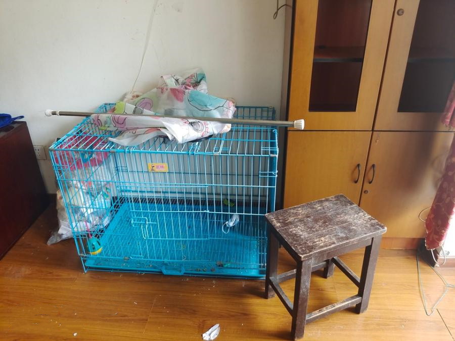 上海市虹口区欧九小区4栋5F 