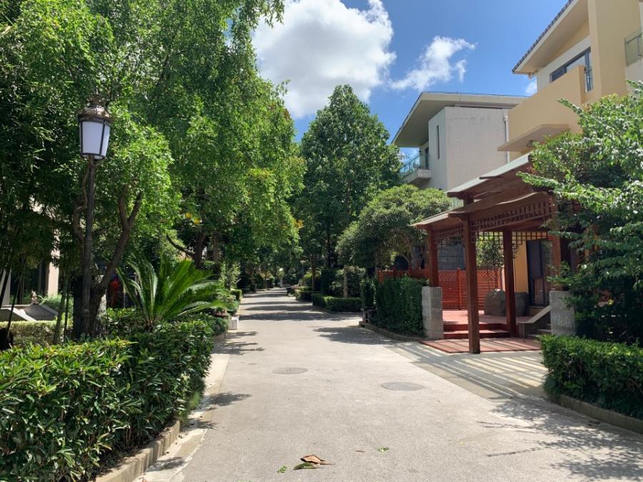 上海市浦东新区中科大学村康桥镇1030栋 