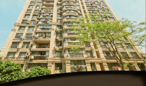 上海市松江区玉龙苑6栋11F 