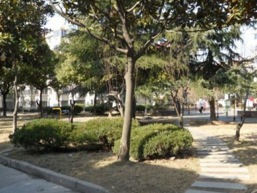 上海市奉贤区贝港北区74栋4F 