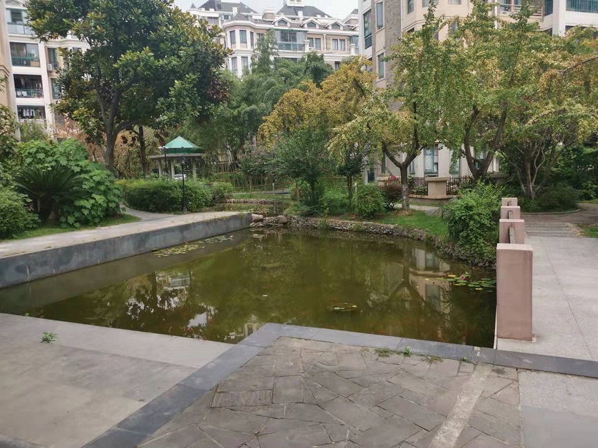 上海市闵行区名仕世家花苑36栋5F 