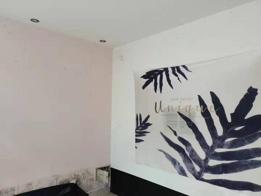 上海市浦东新区小上海休闲广场关岳西路153弄44栋1-3F 