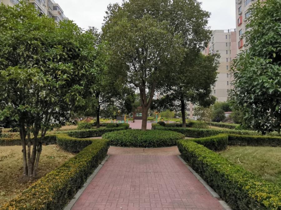 上海市徐汇区华泾绿苑26栋1F 