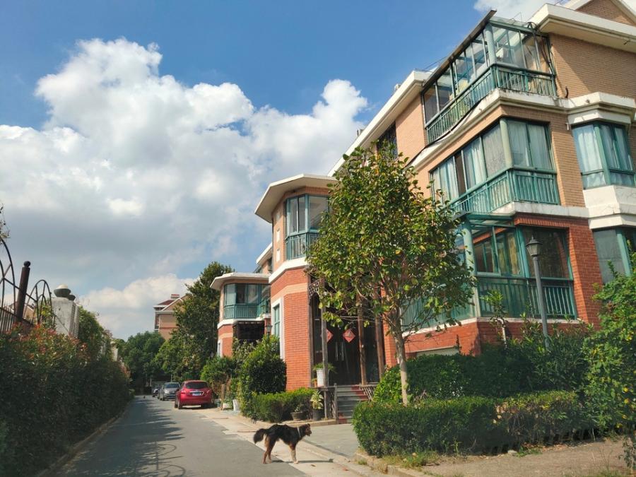 上海市松江区金港花园二期140栋1-3F 