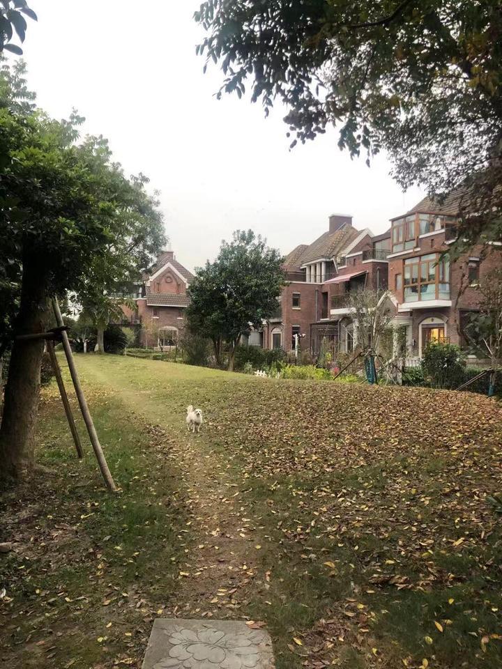 上海市松江区红墅185894栋 