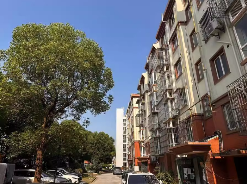 上海市奉贤区绿苑5栋2F 