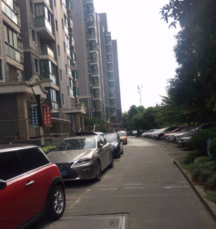 上海市静安区峥宸苑7栋13F 