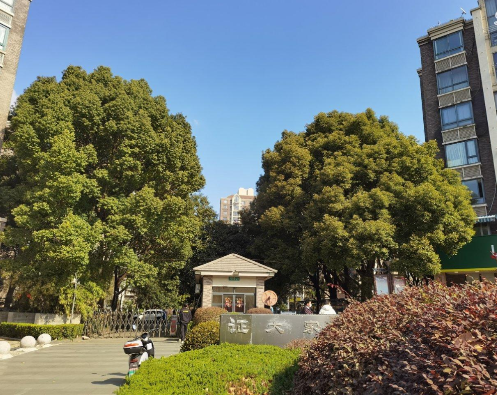 上海市浦东新区证大家园20栋8F 