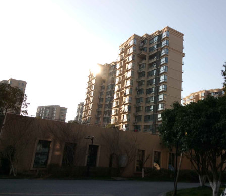 上海市松江区九城湖滨国际23栋8F 