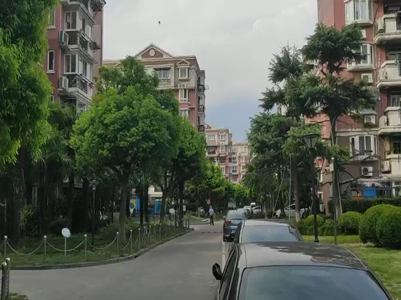 上海市普陀区泰宸苑30栋4F 