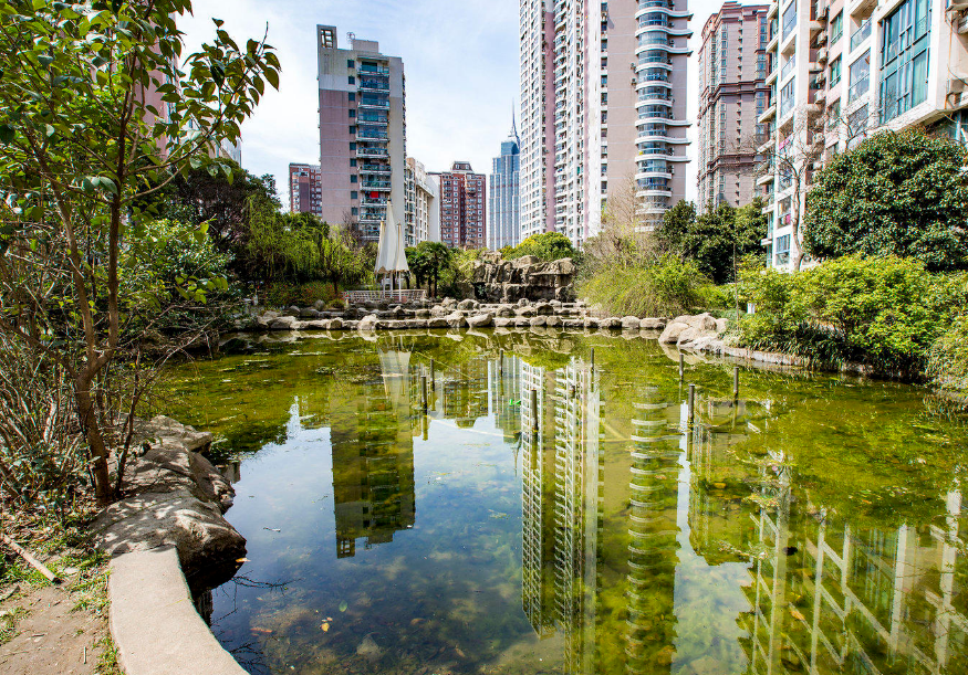 上海市普陀区绿地世纪城3栋5F 