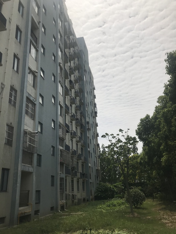 上海市浦东新区新芦苑28栋1F 