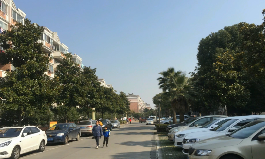 上海市奉贤区新南家园 71栋1F 