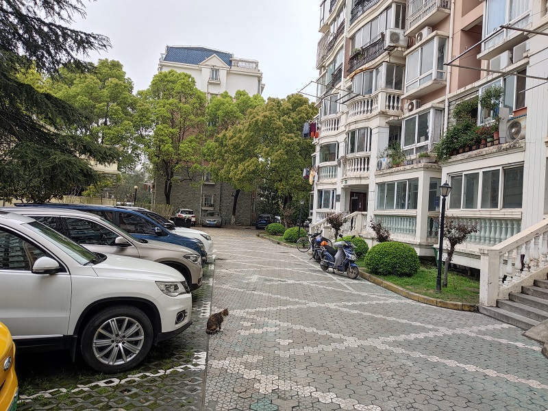 上海市浦东新区明丰花园29栋9F 