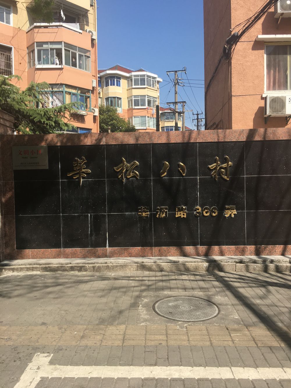 上海市闵行区莘松八村19栋4F 