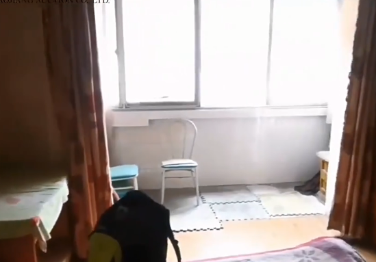 上海市闵行区罗阳东四村5栋4F 